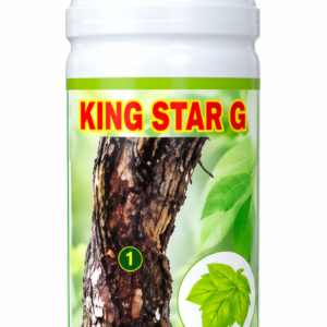 KING STAR G