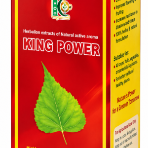 KING POWER