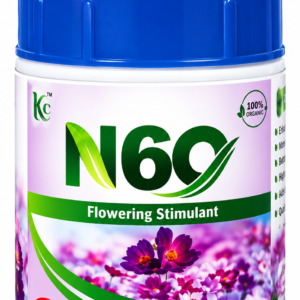 N60