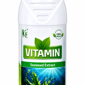 VITAMIN